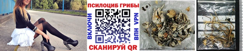мега маркетплейс  как найти закладки  Чёрмоз  Псилоцибиновые грибы MAGIC MUSHROOMS 