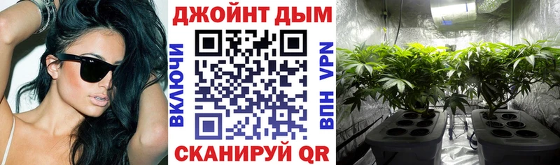 Бошки марихуана Ganja  купить   Чёрмоз 